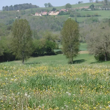Maison Rustique Avec Jardin Et Equipements Pour Enfants, Proche Sarlat - Fr-1-616-394 Semesterbostad Marcillac-Saint-Quentin
